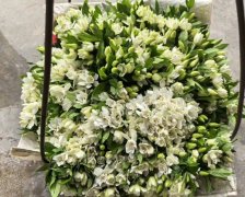 今年新鲜栀子花预售，5月发货。农家自产栀子花，18元/扎